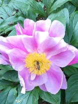 78 Holmes Rd #1 - Photo 1 of 1