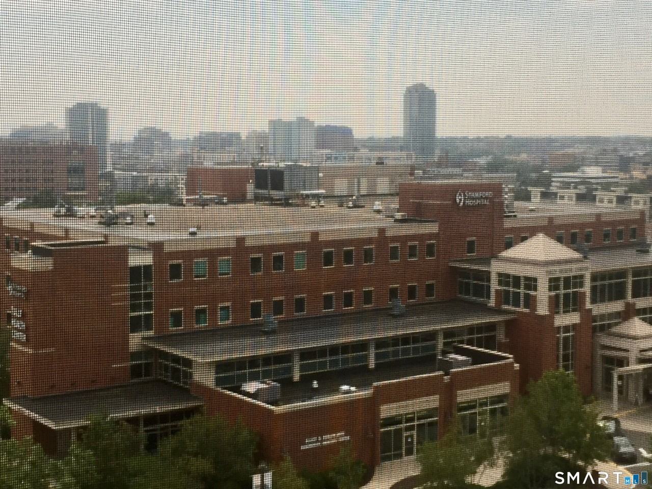 1 Strawberry Hill Ct #8J - Photo 6 of 16