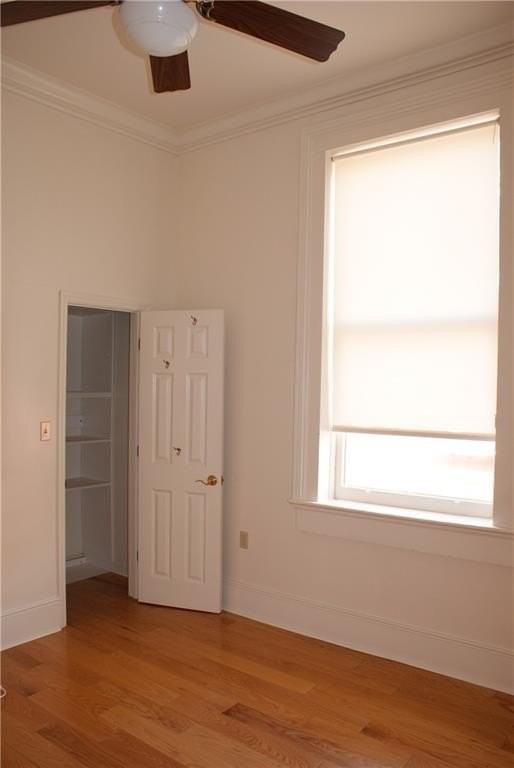 237 Dauphine St - Photo 4 of 12