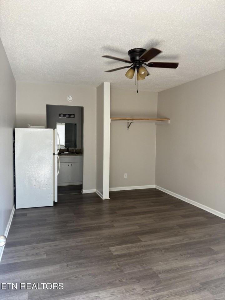 215 E Race St #1 - Photo 4 of 4