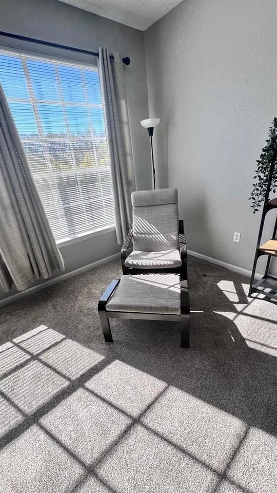 13001 Mulberry Park Dr #132 - Photo 5 of 6