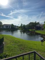 10263 Gandy Blvd N #606 - Photo 1 of 1