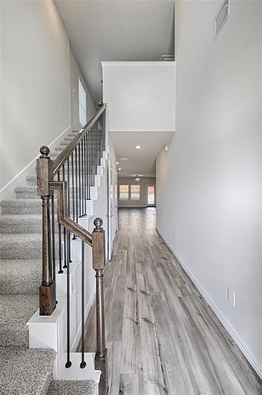 3110 Sedge Grass Dr - Photo 4 of 31