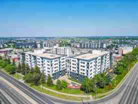 Cadence at Griesbach - Photo 1 of 1