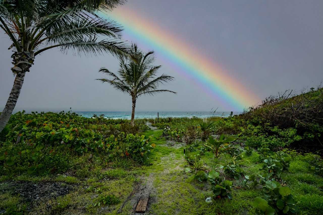 2330 N Ocean Blvd - Photo 5 of 31