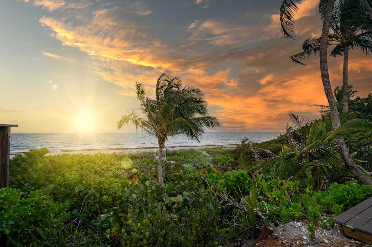 2330 N Ocean Blvd - Photo 7 of 31