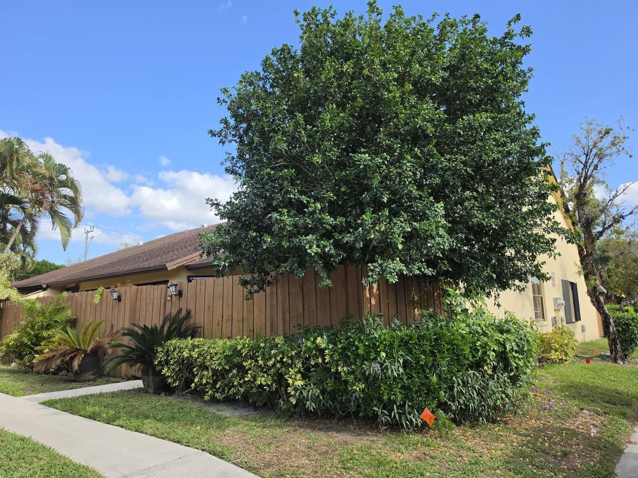 401 Springdale Cir - Photo 2 of 31