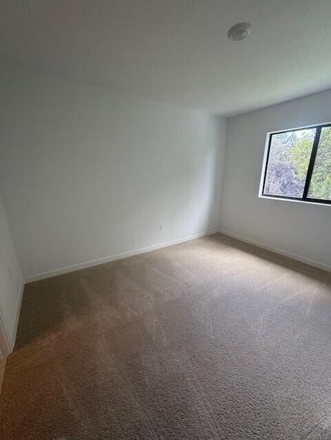 4844 Dillion St - Photo 5 of 16