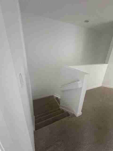 4844 Dillion St - Photo 7 of 16