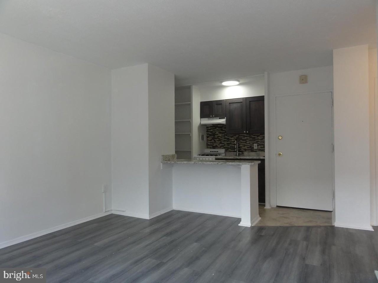 210117 Chestnut St #1620 - Photo 3 of 13