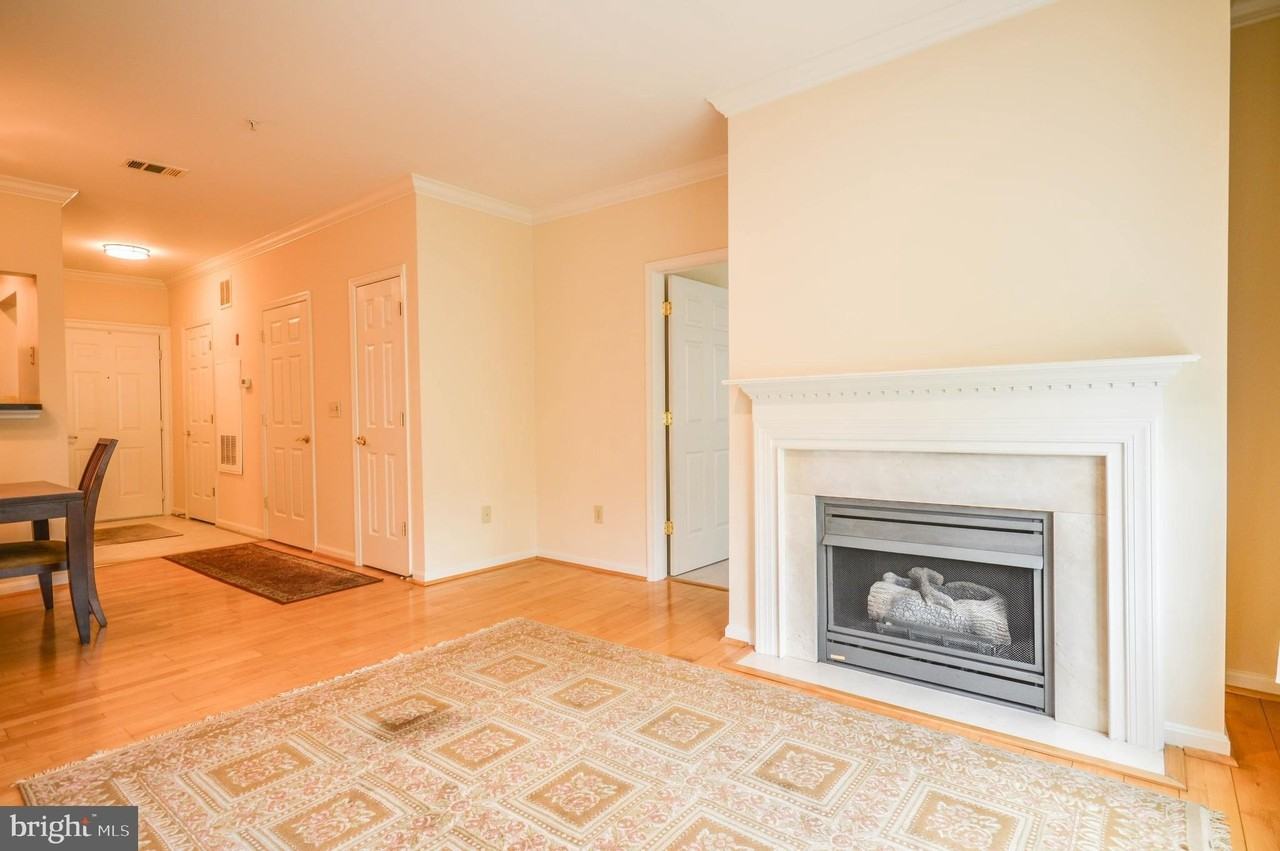 4950 Brenman Park Dr #303 - Photo 3 of 31