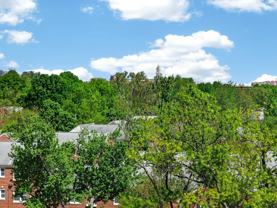 6621 Wakefield Dr #618 - Photo 1 of 1