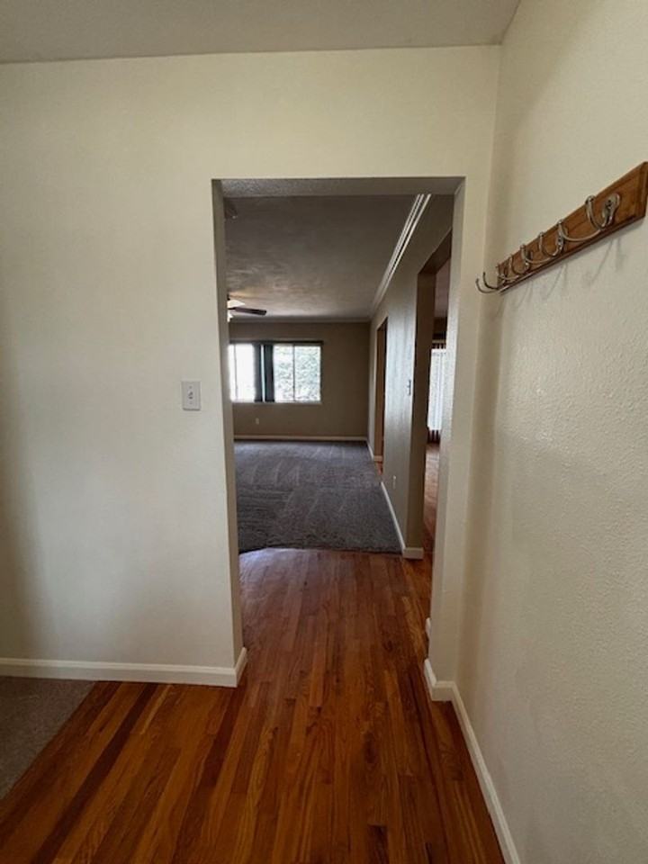 1500 Sundance Ln - Photo 2 of 50