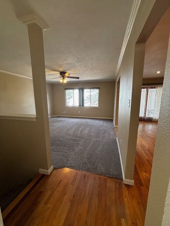 1500 Sundance Ln - Photo 4 of 50