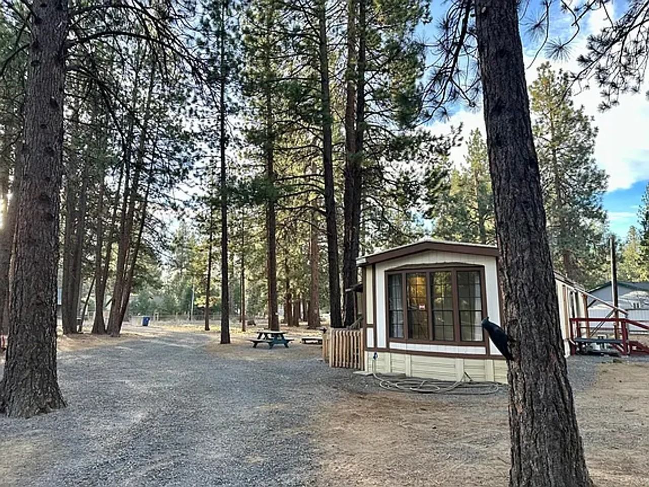 60083 Navajo Rd - Photo 4 of 16