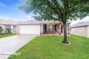 172 Texas Mulberry - Photo 1 of 1