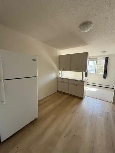 8314 110 Ave Nw #402 - Photo 6 of 11