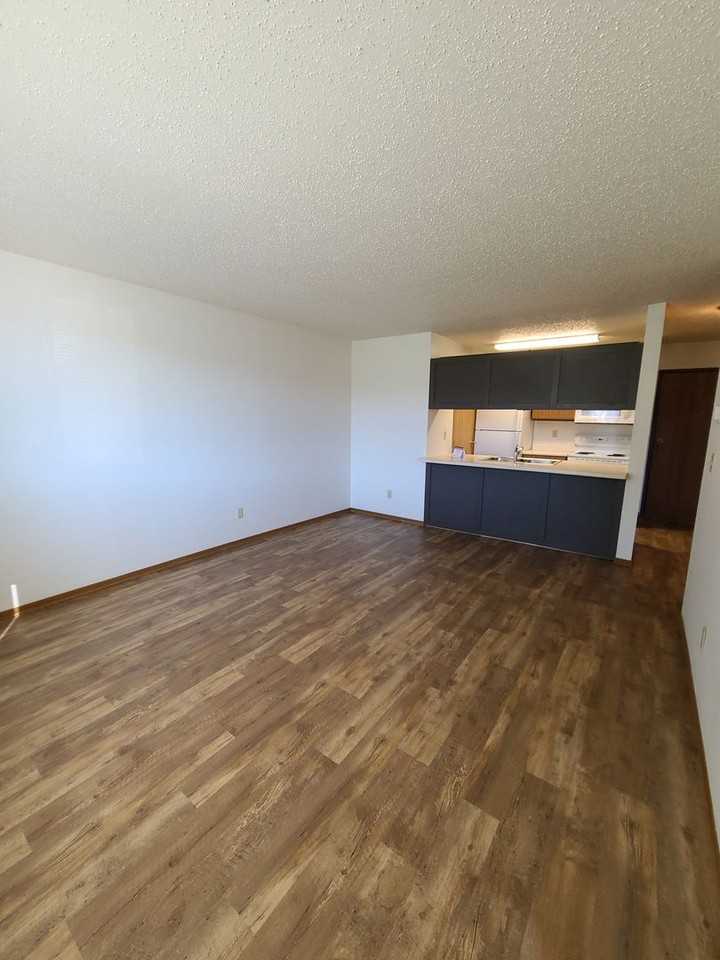 4602 16th Ave S - Photo 7 of 14