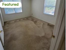featured image of 1351 Crab Orchard Dr #302
