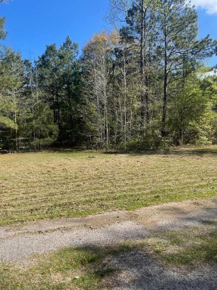 1492 County Road 3737 #NA - Photo 4 of 12