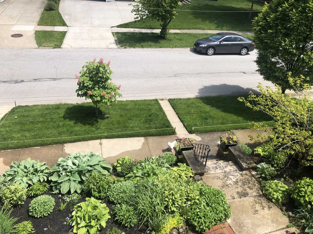 1124 Summit Ave - Photo 2 of 18