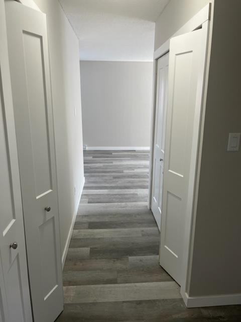2902 South Main Street - Photo 4 of 8