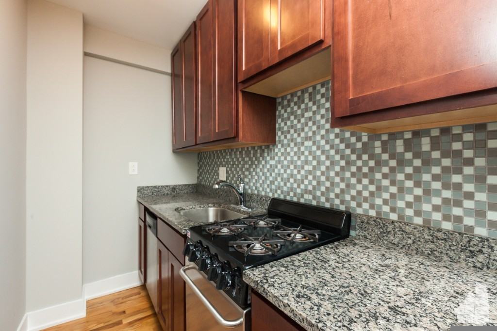 425 W Roscoe St #310 - Photo 4 of 10