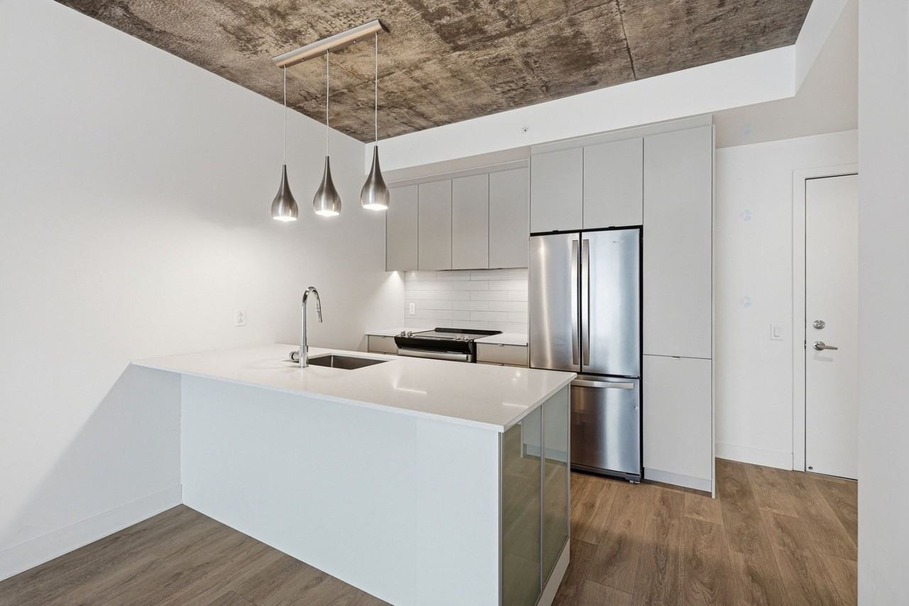 9280 Av Dubuisson - Photo 3 of 27