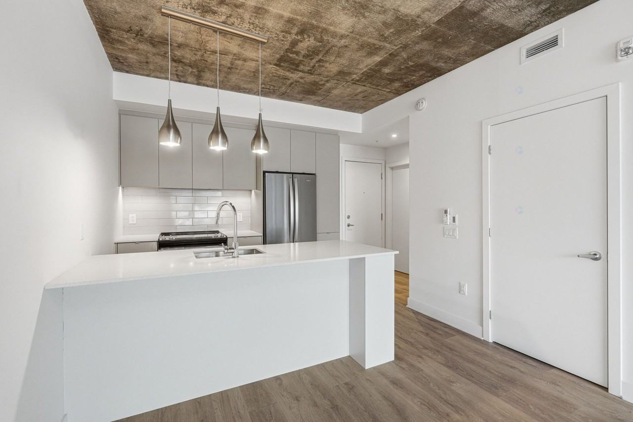 9280 Av Dubuisson - Photo 4 of 27