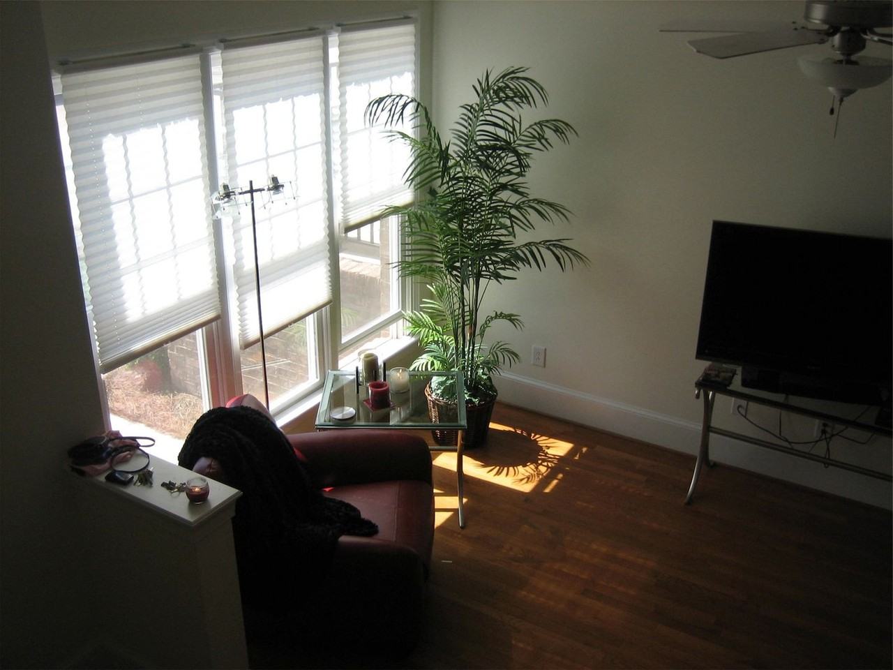 118 Finsbury St - Photo 6 of 12