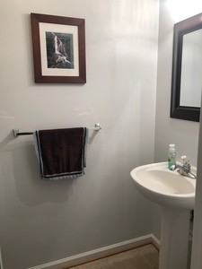 2923 Snuggles Ct - Photo 4 of 8