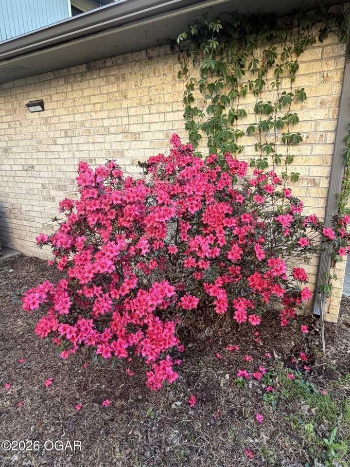 2430 E 26th St - Photo 5 of 24