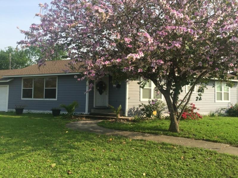 4302 Teak St - Photo 2 of 13