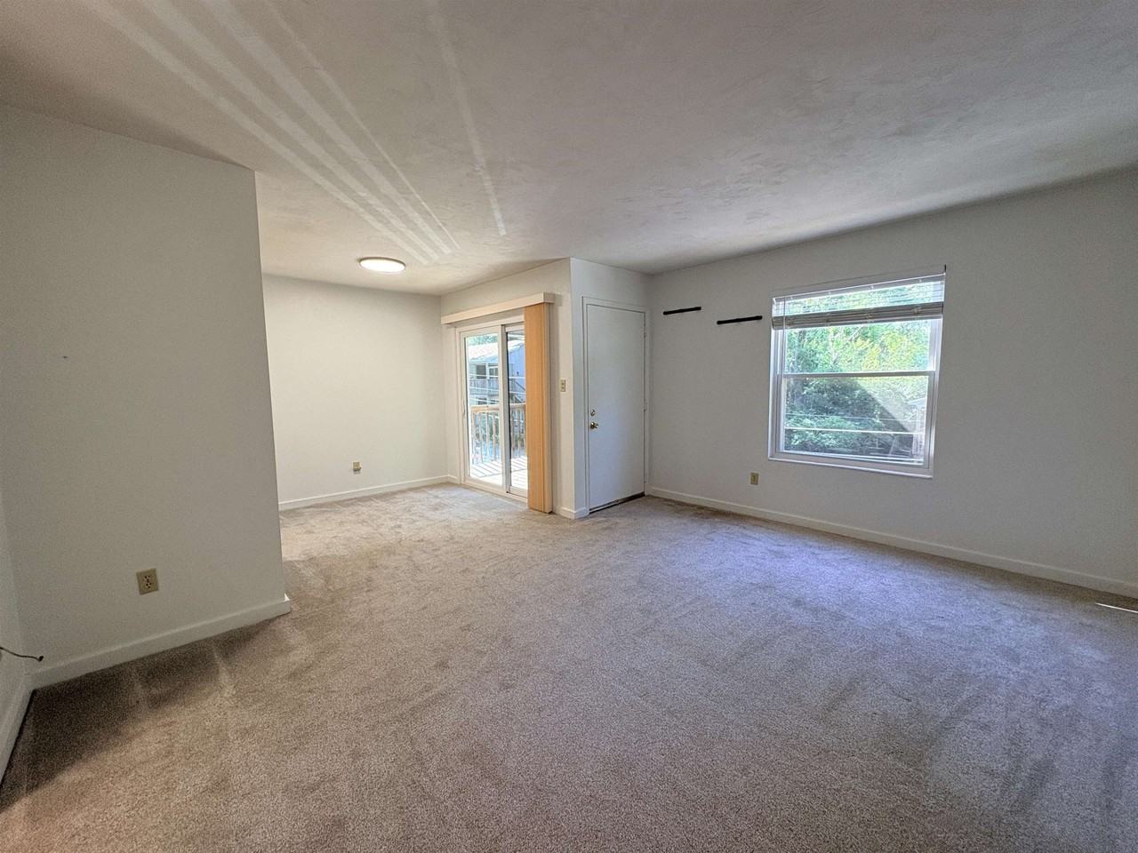 1530 Live Oak Dr #C4 - Photo 6 of 17
