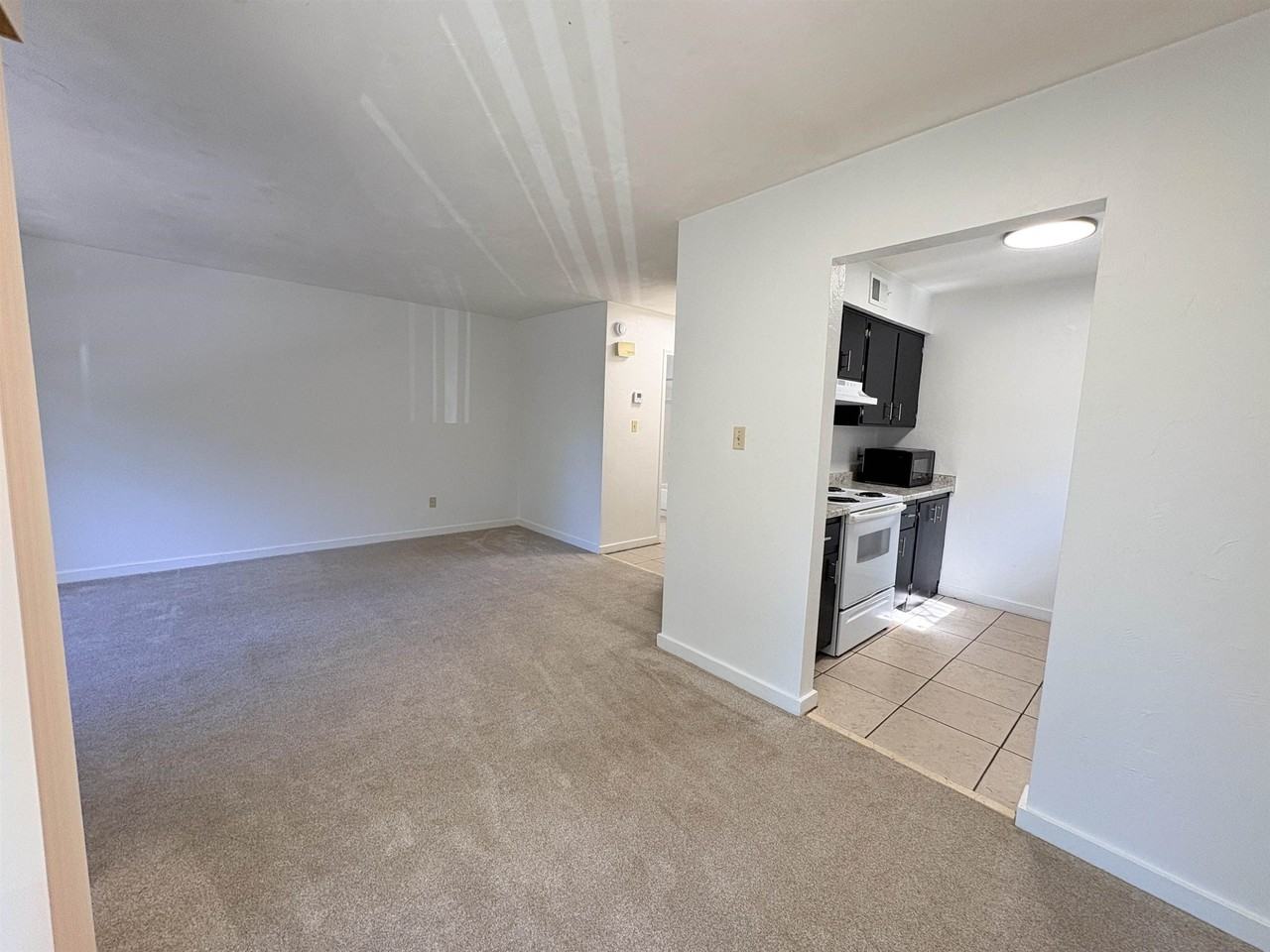 1530 Live Oak Dr #C4 - Photo 7 of 17