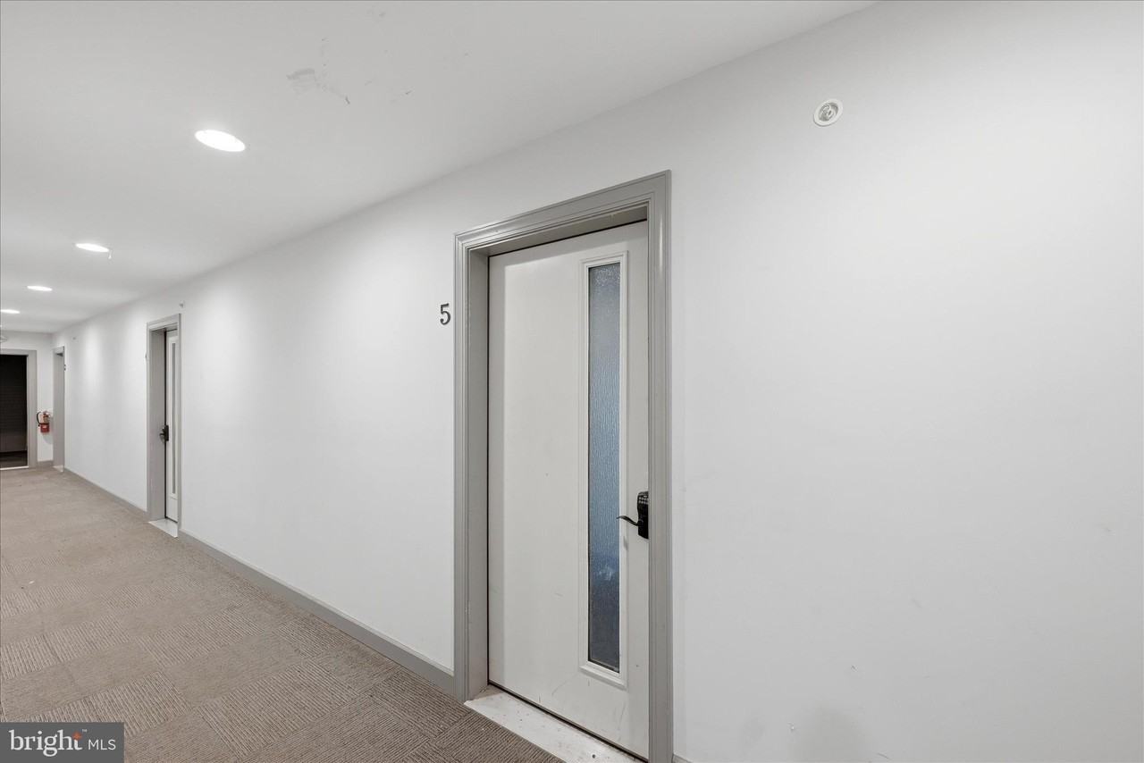 443 Millwood Ave #5 - Photo 3 of 14