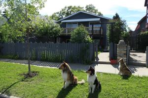 featured image of 1125 10 St Se Main Fl