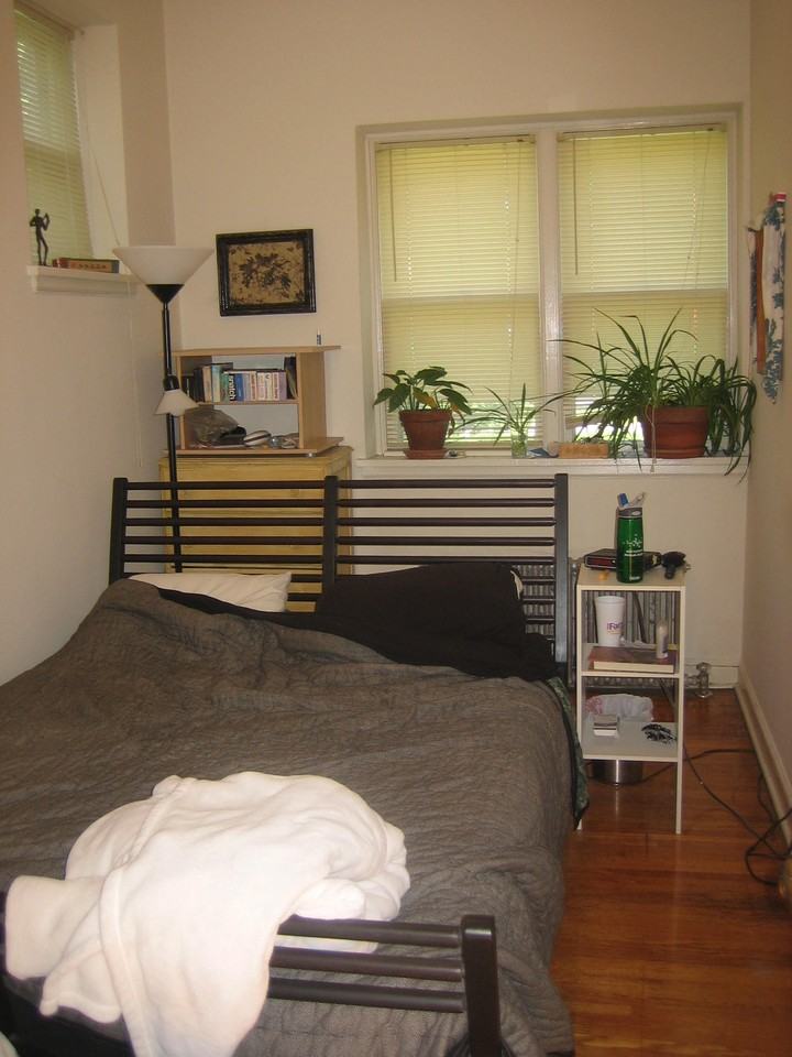 586 Holly Avenue - Photo 3 of 19