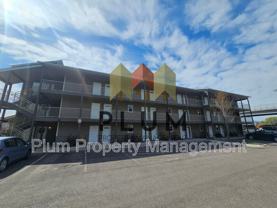 1245 Waverly St #202 - Photo 1 of 1