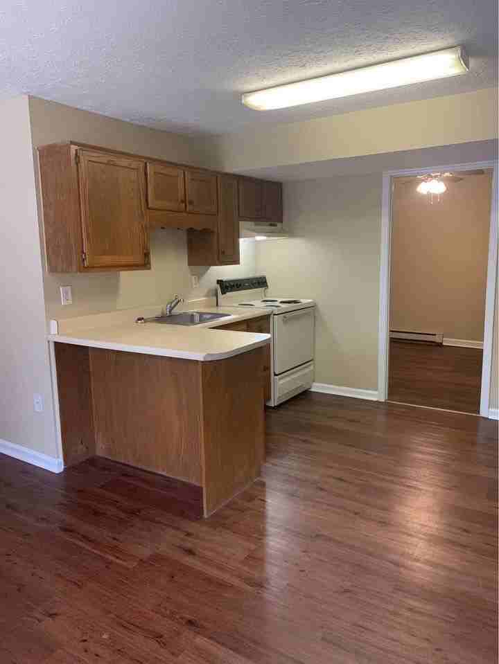 Signature Rentals-239 Wayne Dr. - Photo 4 of 6