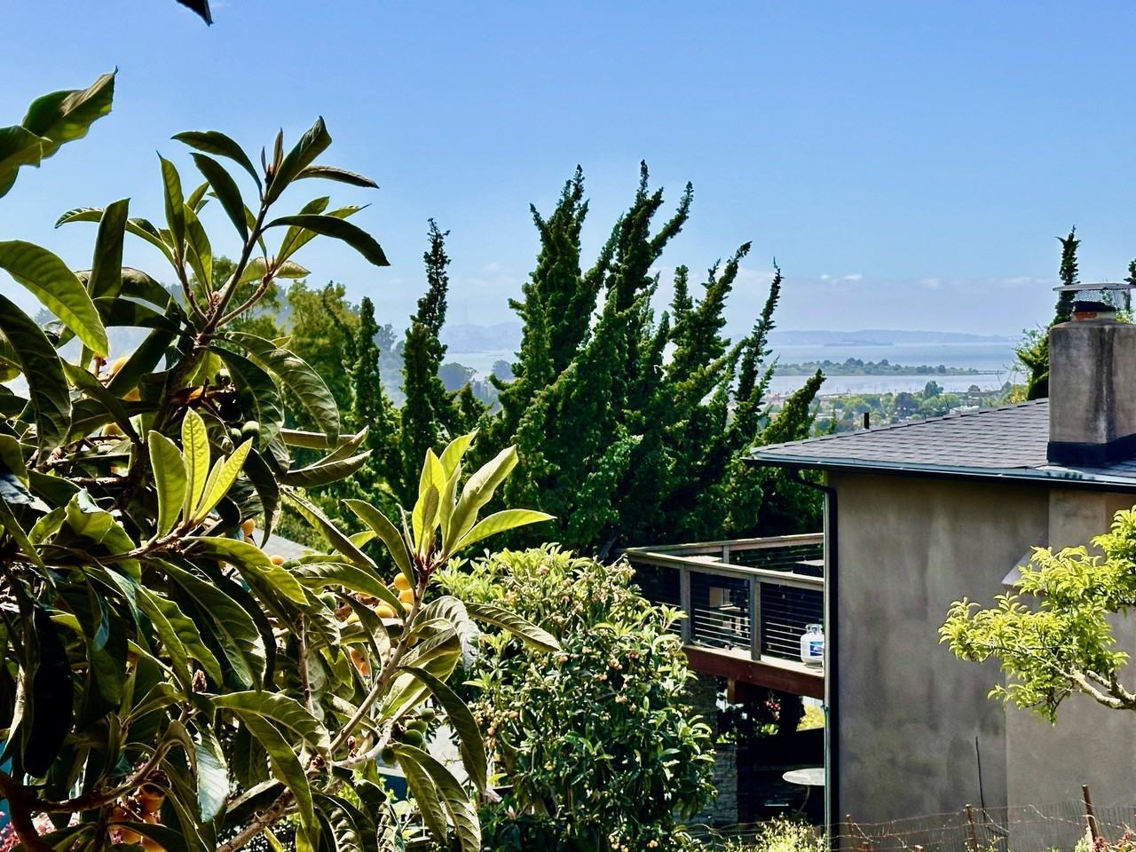 733 Balra Dr #NA - Photo 3 of 17