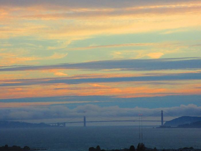 733 Balra Dr #NA - Photo 4 of 17