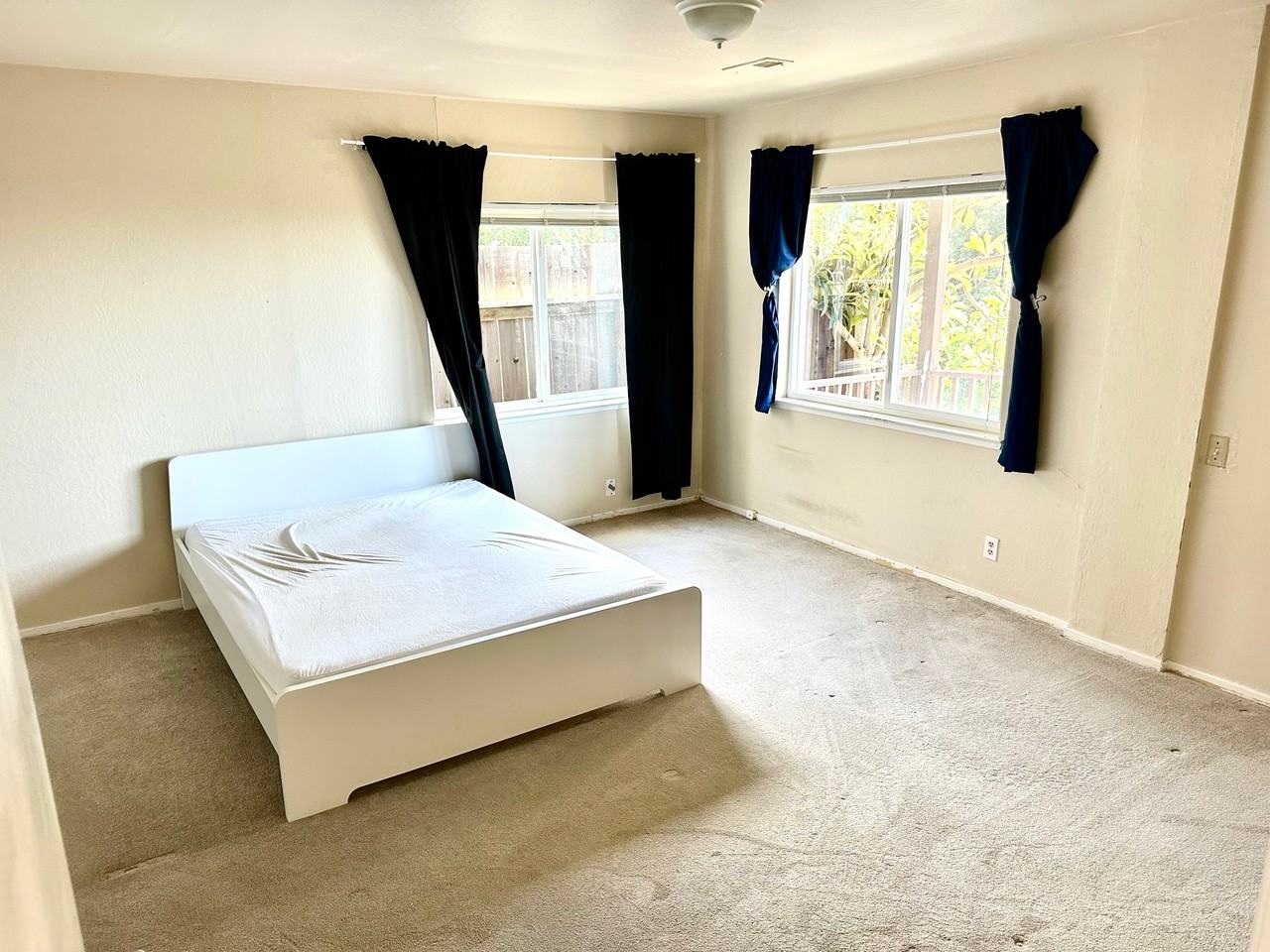 733 Balra Dr #NA - Photo 6 of 17