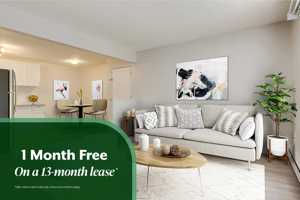 featured image of 4908 53 St