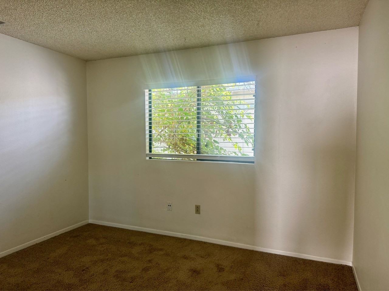 4576 Hawley Blvd #8 - Photo 7 of 13