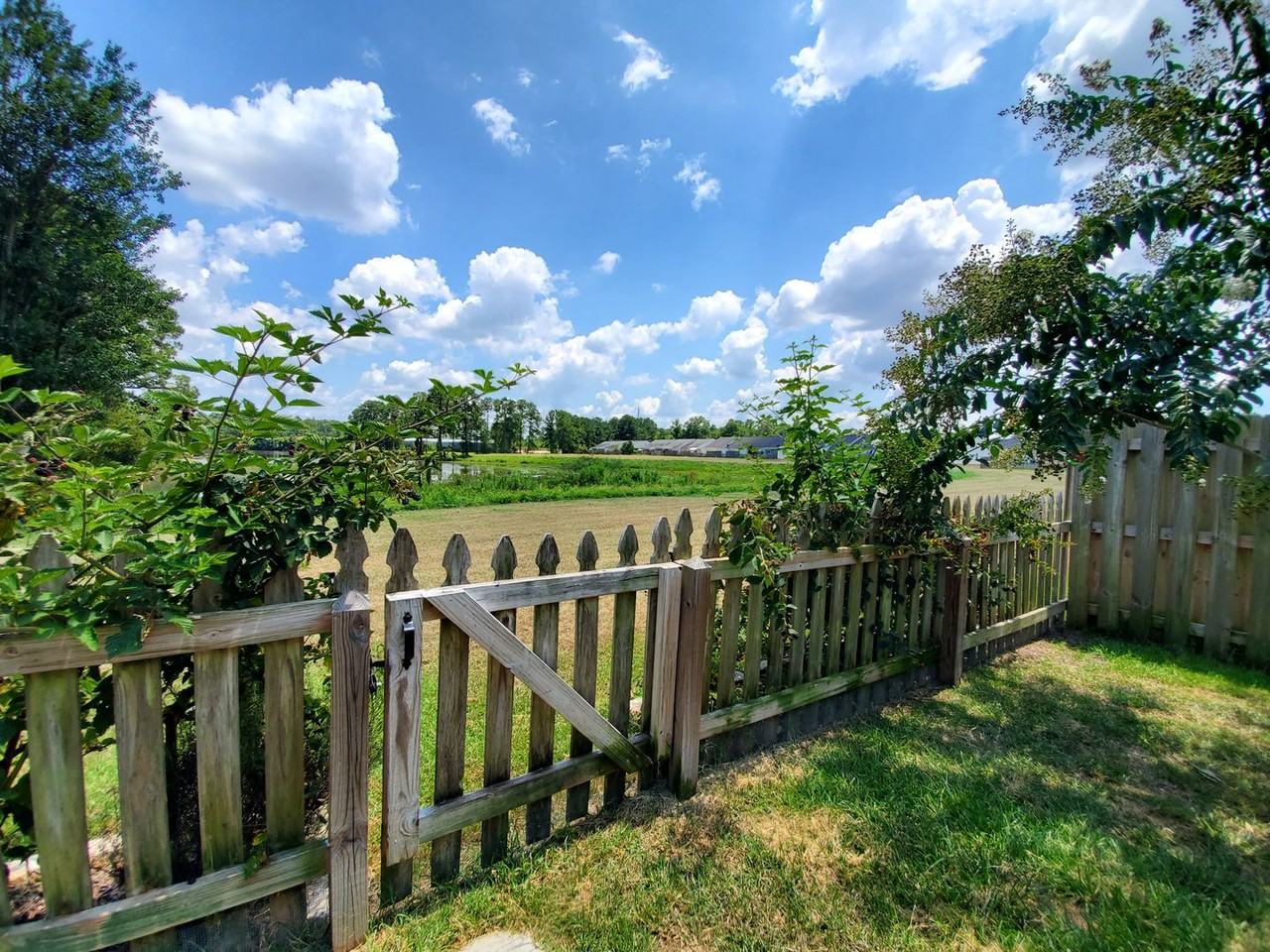 198 Buckhaven Way - Photo 6 of 26