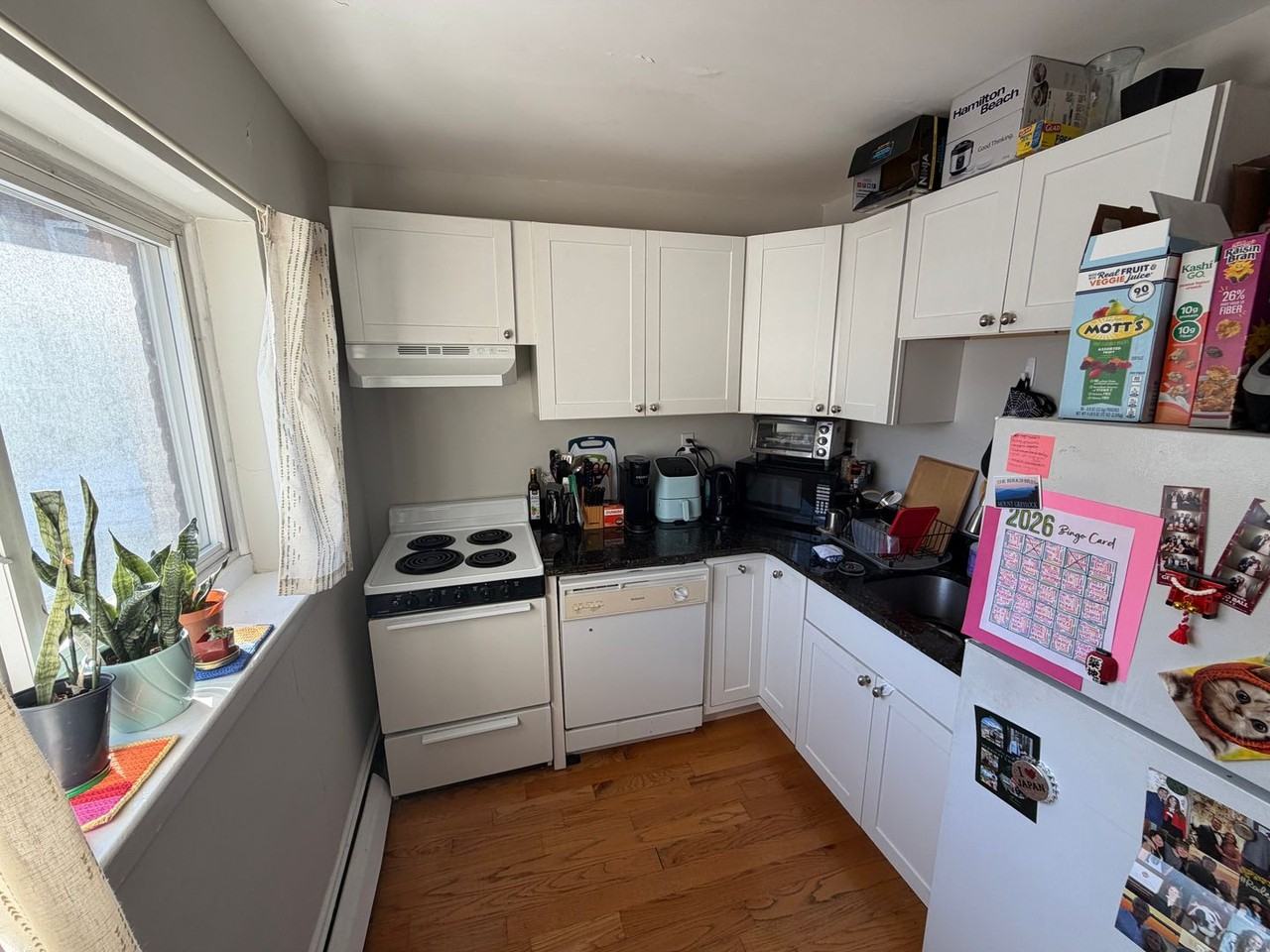 59 Selkirk Rd - Photo 6 of 8
