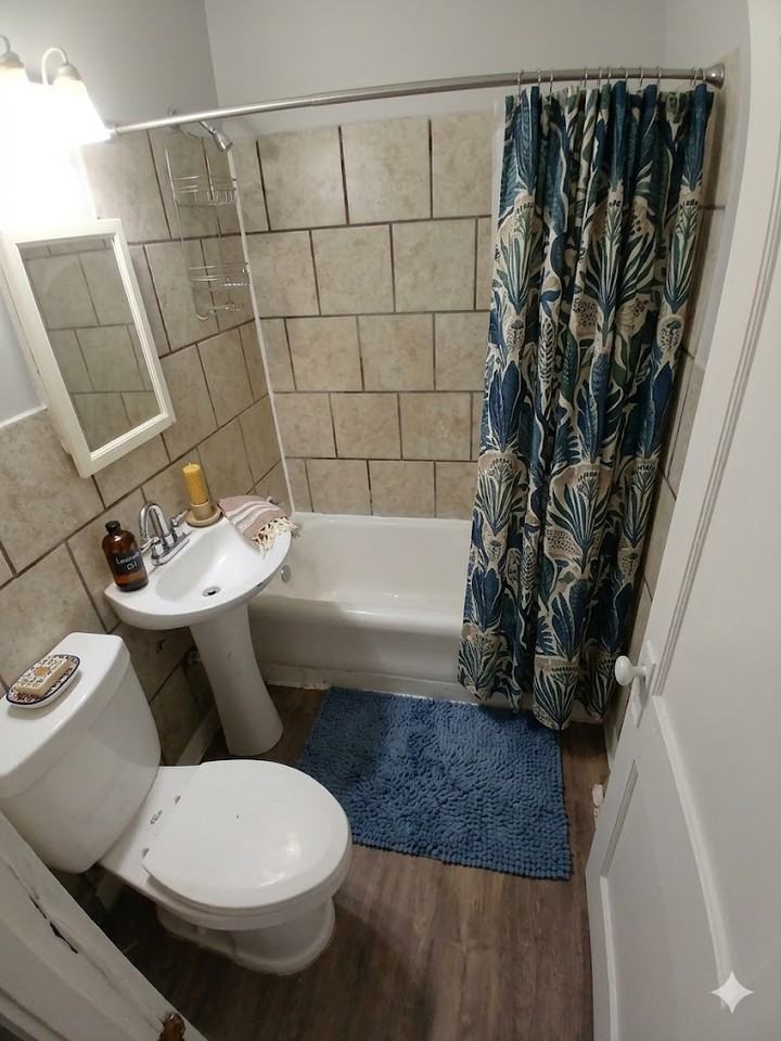 1826 Green St #1 - Photo 5 of 8