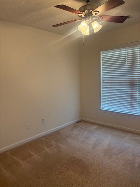 95 Saddlebrook Ct #1 - Photo 4 of 15