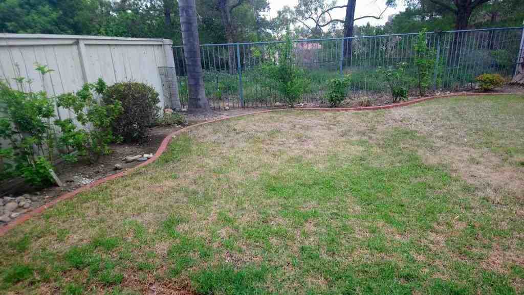 11747 Ramsdell Ct - Photo 3 of 29